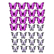 Бабочки №10